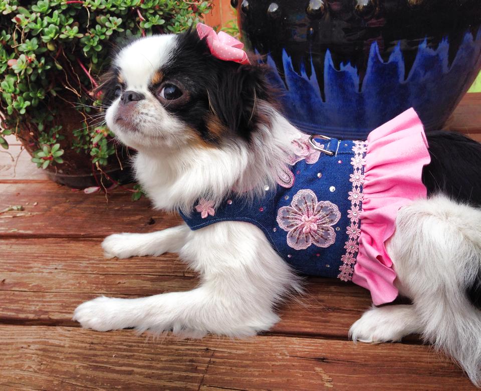 Designer Dog Clothing Custom made Doggie Apparel